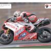DUCATI 1198 + Michel Fabrizio #84 + xerox Superbike Team + DIN A4-Poster