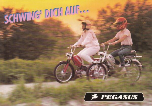 PEGASUS + Falt-Prospekt Modellübersicht brochure + 6 Seiten