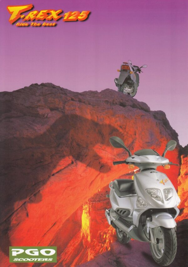 T-REX 125 1999 vielleicht PGO T-Rex 125 + Prospekt brochure + 4 Seiten